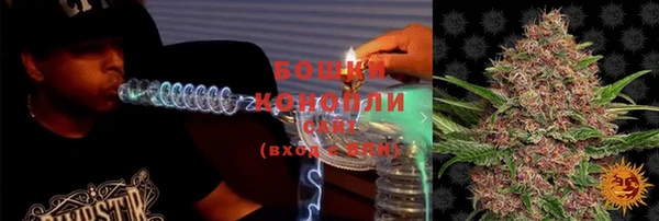 дживик Баксан